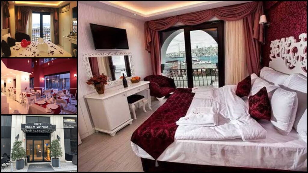 إطلالة ساحرة من Dream Bosphorus Hotel مع مناظر خلابة لمضيق البوسفور.